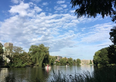 石神井公園の画像1