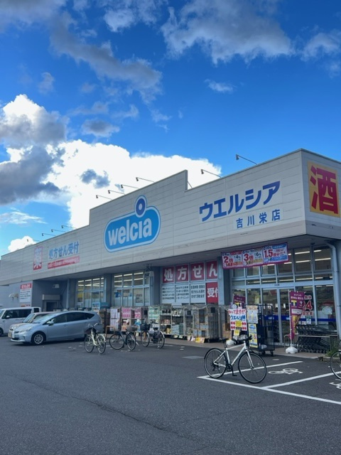 の画像
