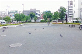 公園 富士見川公園