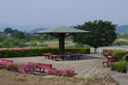 倉賀野緑地の画像1