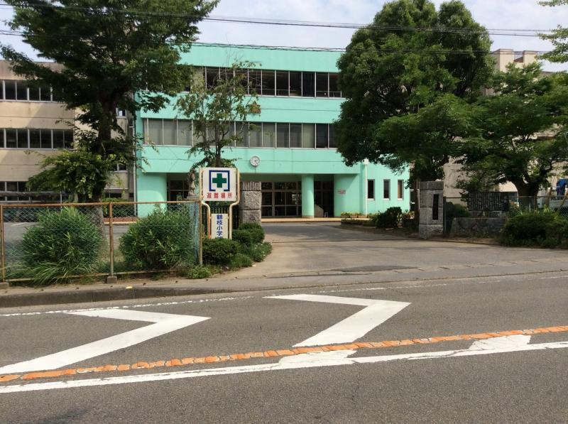 の画像