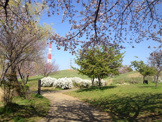 真土大塚山公園
