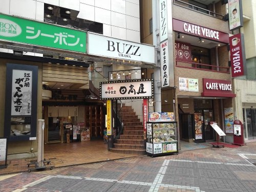 の画像