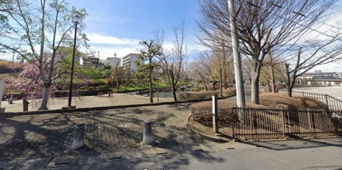 の画像