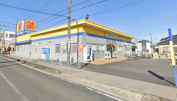 の画像