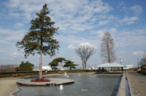 ぼうさいの丘公園