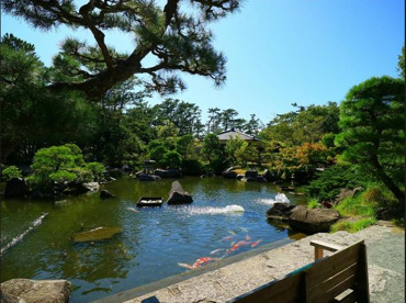 葉山しおさい公園の画像1