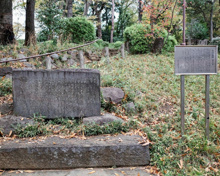 公園 世田谷城跡