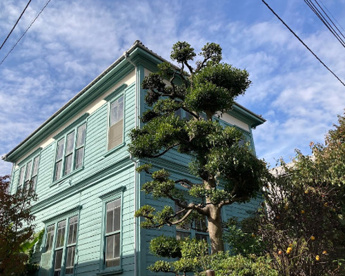 旧尾崎行雄邸の画像1