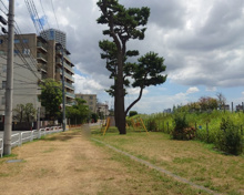 区立玉川一丁目河川広場