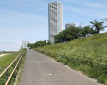 多摩川緑地（玉川地区）