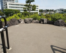 いこいの広場