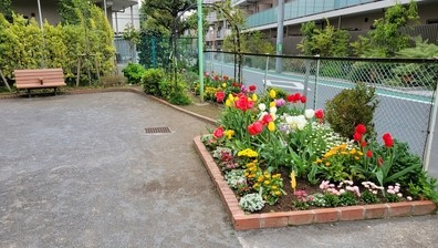 玉川北公園の画像1