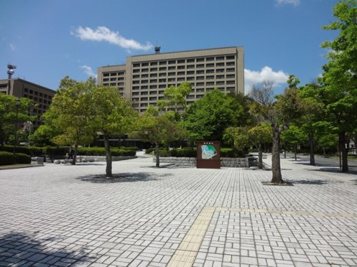 の画像