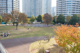 公園 高島中央公園