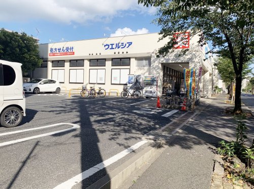 の画像