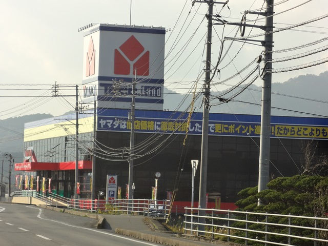 の画像