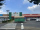かわねや　フェスタ店の画像