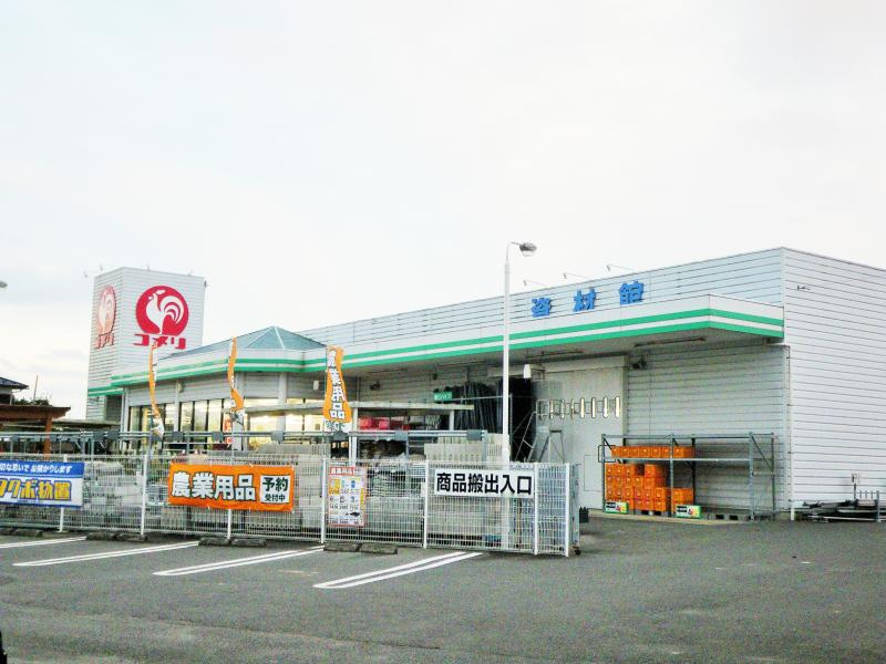 の画像