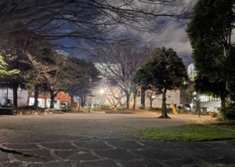 滝ノ川公園