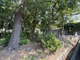 公園 上甲東園1号緑地