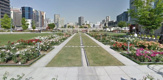 公園 中之島公園