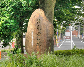 葦毛塚の画像1