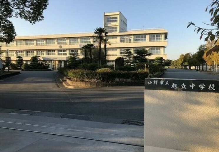 の画像