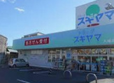 ドラッグスギヤマ 入場店