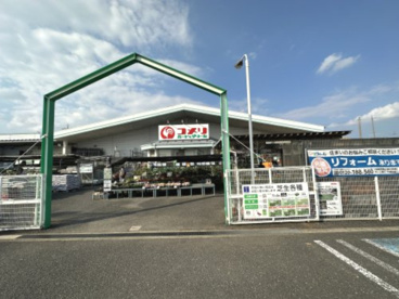 コメリ　大泉店の画像1