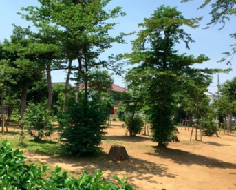 宮内緑地公園の画像1