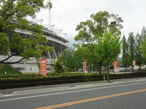 の画像