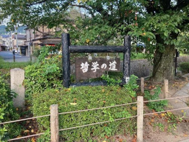 哲学の道の画像1