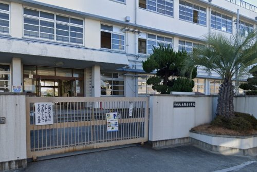 の画像
