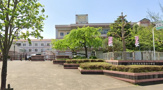 小学校 守谷市立松前台小学校