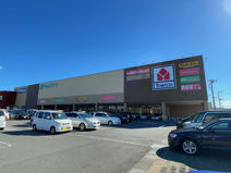 ドラッグストア マツモトキヨシ ピアシティふじみ野店