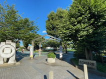 亀久保中央公園