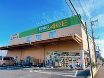 ドラッグエース富士見諏訪店