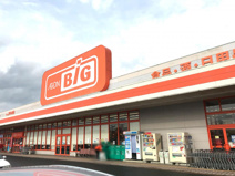 ザ・ビッグ 潟上店