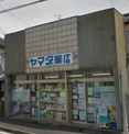 ヤマダ薬店