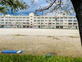 練馬区立練馬東中学校