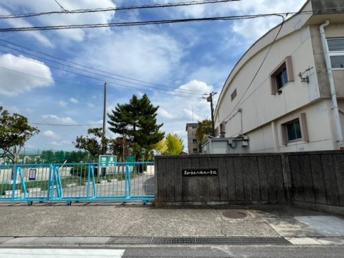 の画像