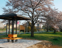 河川敷中央公園