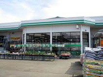 コメリハード&グリーン藤沢店