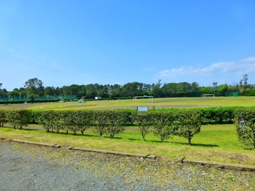 相模川河畔スポーツ公園の画像1