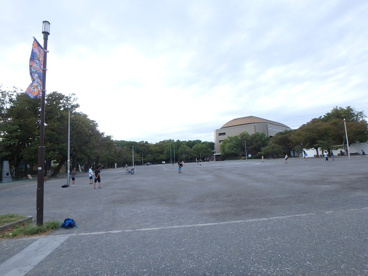 等々力緑地の画像1
