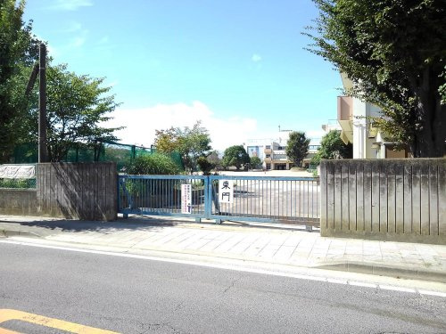 の画像