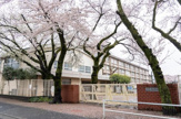 国立市立国立第七小学校