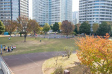 公園 高島中央公園