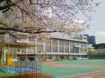 中央区立 豊海小学校の画像1